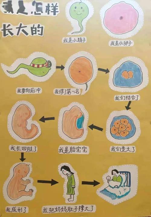 3. 生命科学类专业：探索生命的奥秘