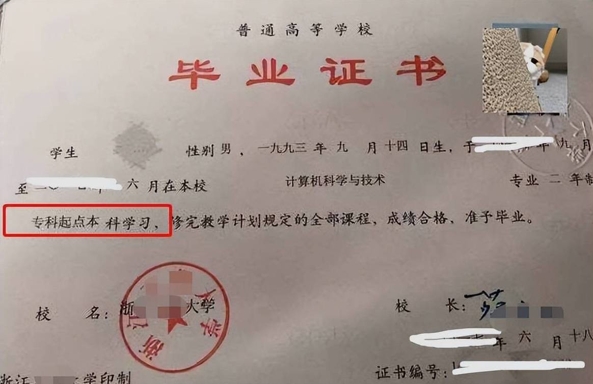 如何查自己的学历