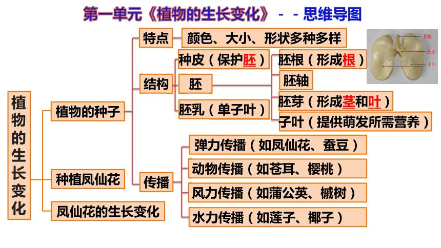 植物科学的发展历程