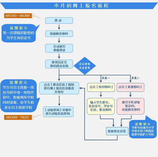 网上报名流程：