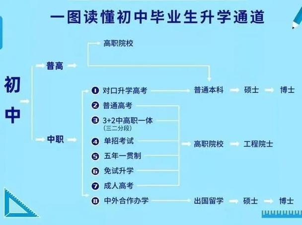 职高生升学概况