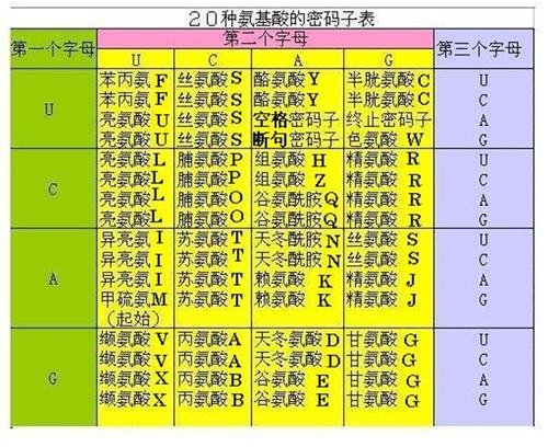 如何保护账号密码安全？