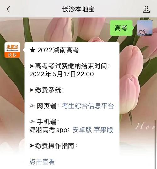 长沙市教育考试院：为您提供全面的教育考试信息服务